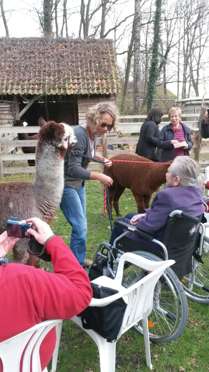 F rderverein Lindenbl te e.V. Besuch auf der Alpaka Farm in Arpke